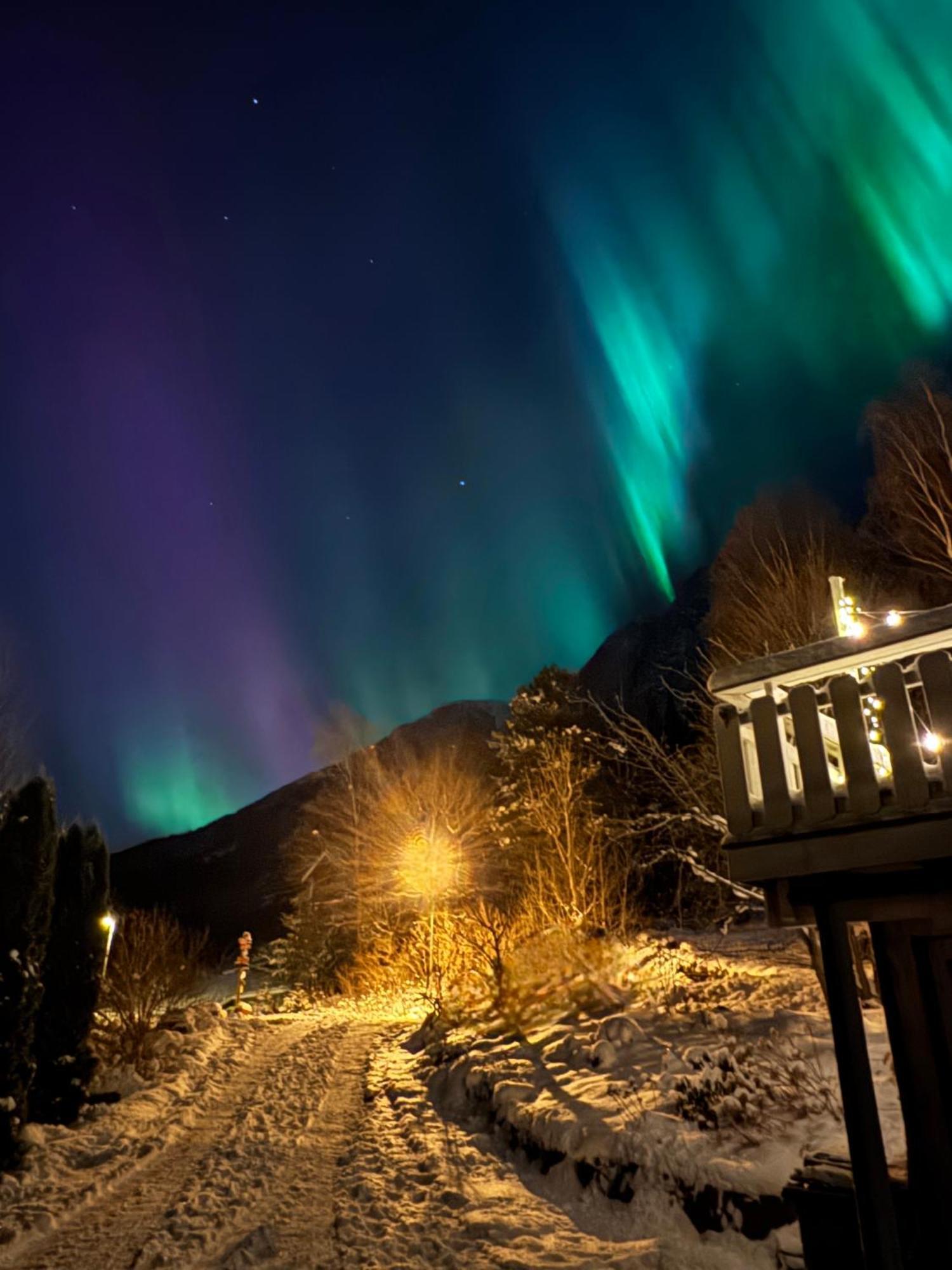 Between Fjord Og Glacier Alfoten ภายนอก รูปภาพ